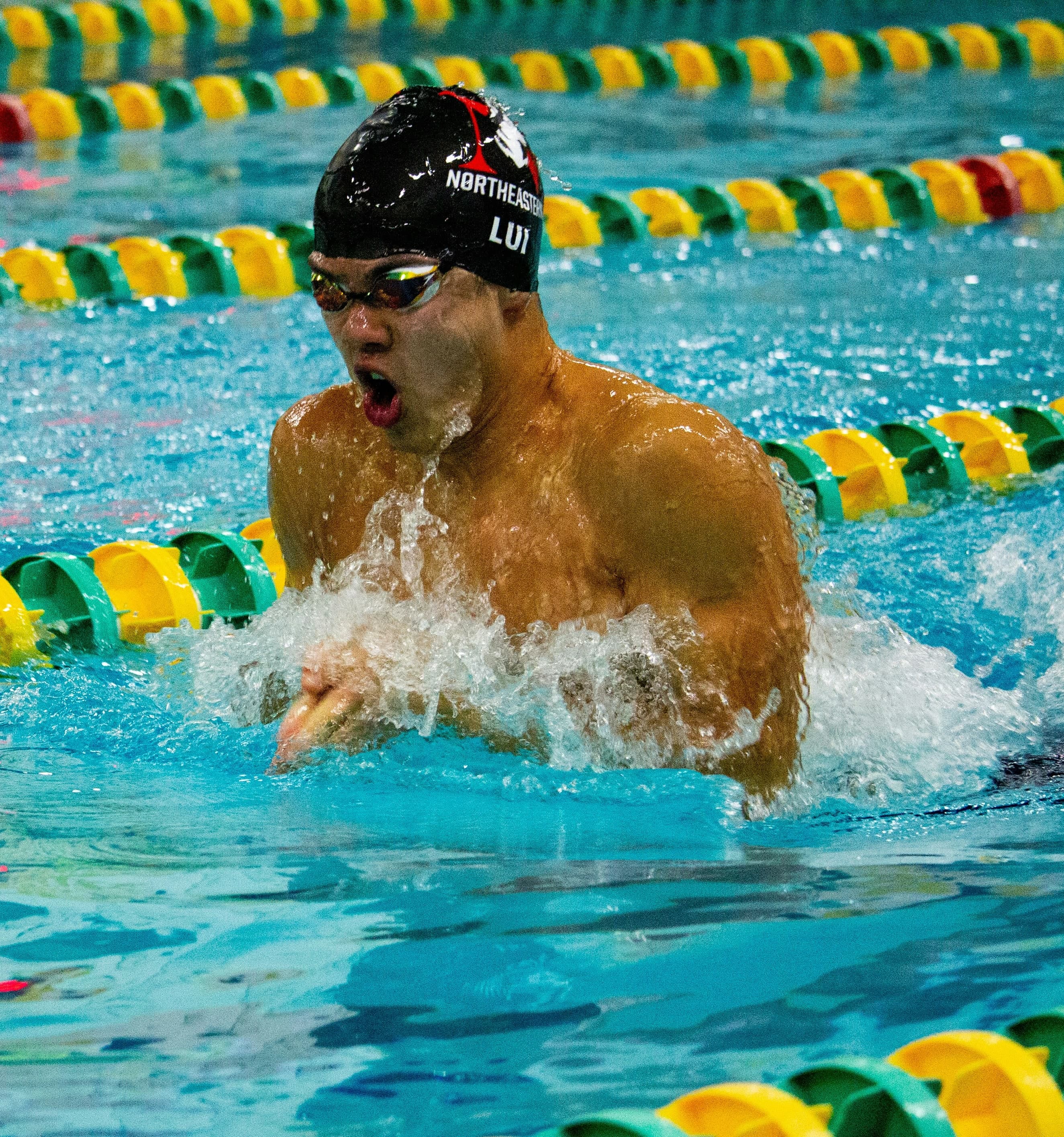 College Swimmer from Northeastern – Breaststroke Race Male collegiate swimmer from Northeastern swimming breaststroke during a race.