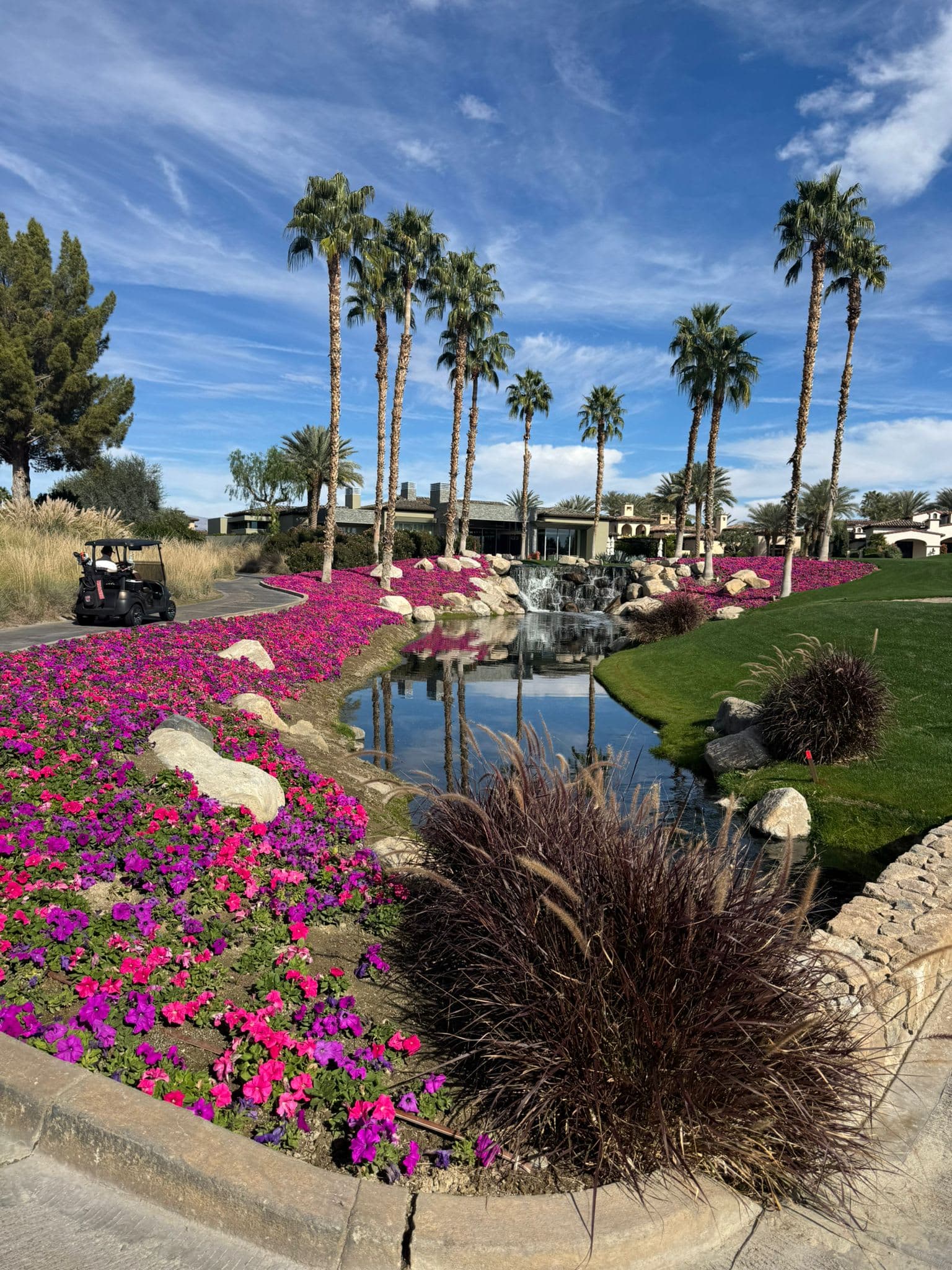 College Golf Course with Water and Palm Trees | Smarthlete A photo of a golf course with water in the middle and palm trees in the background.